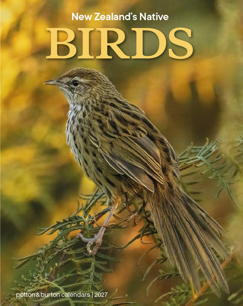 2027 NZ Native Bird Calendar - Small