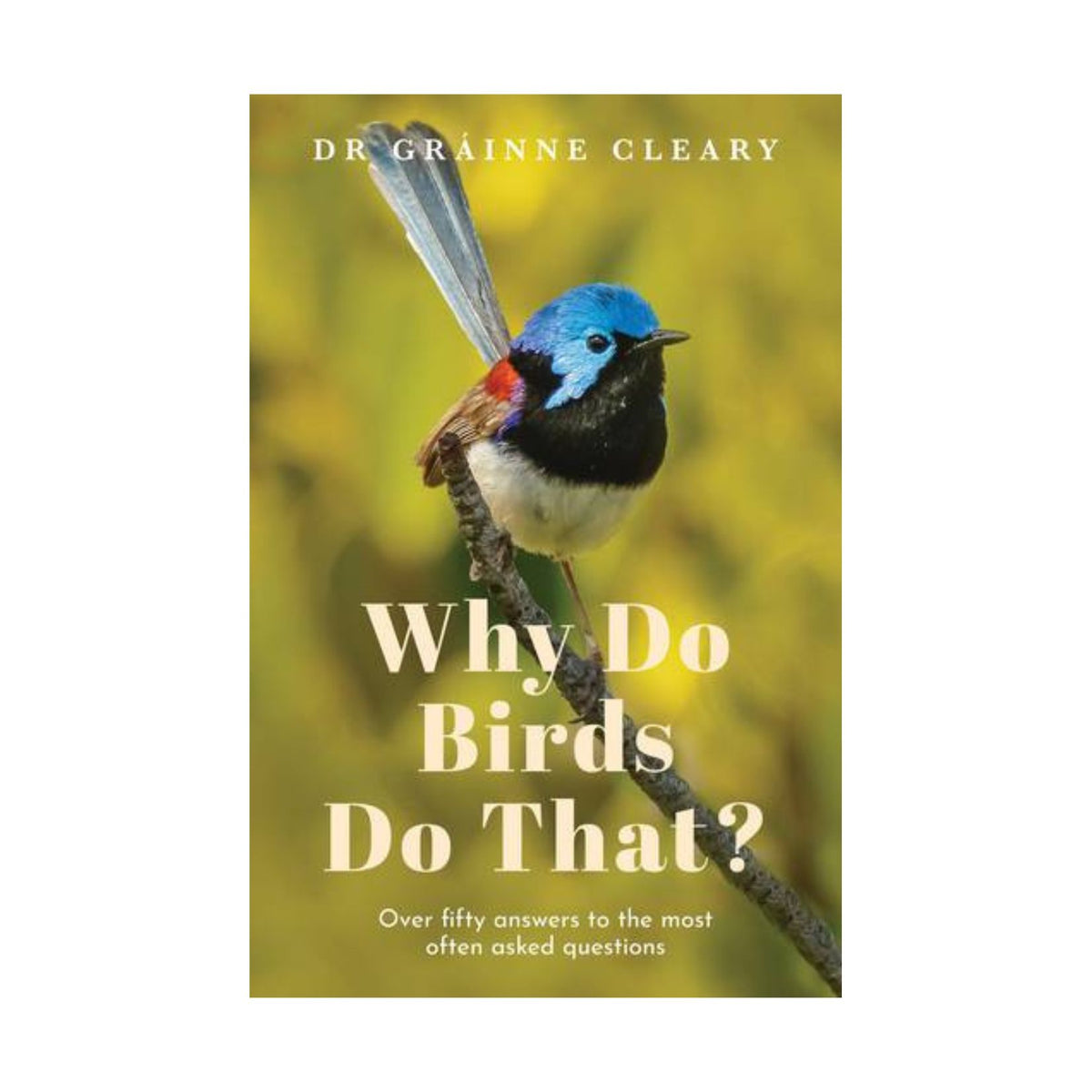 Why Do Birds Do That Petronella's Gallery and Bookstore