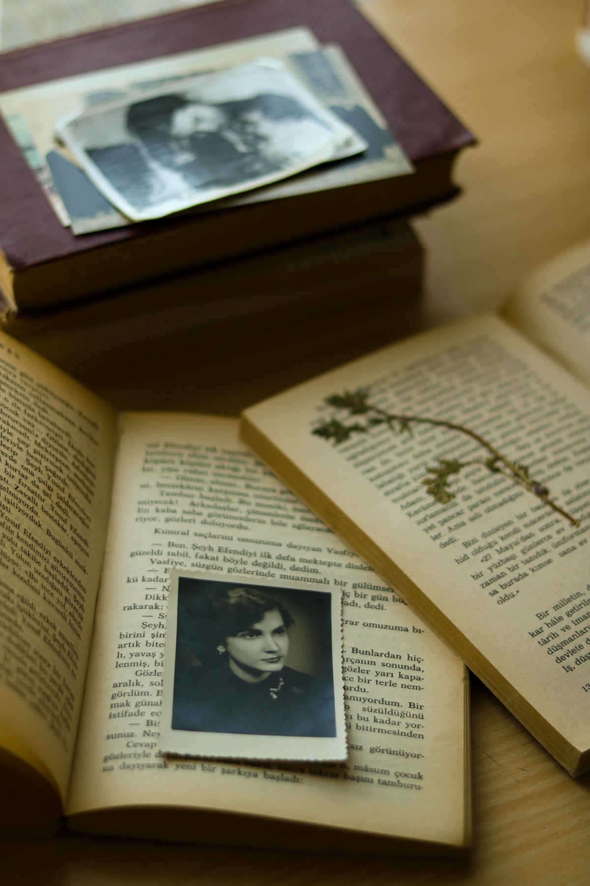 Biography