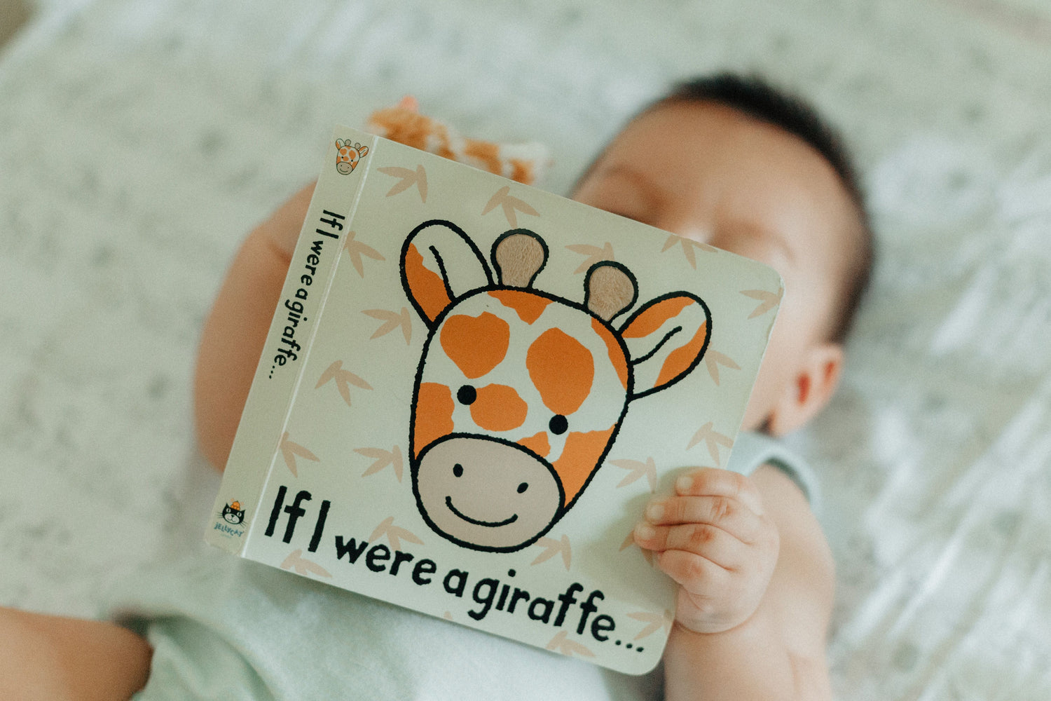 Board Books