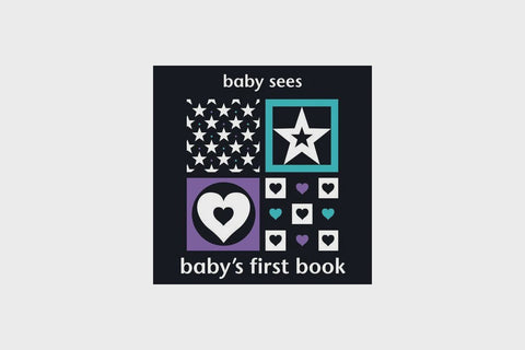 Baby's First Book