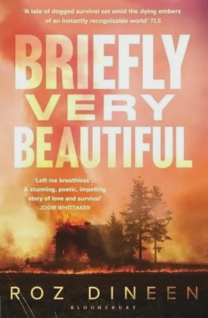 Briefly Very Beautiful (B)