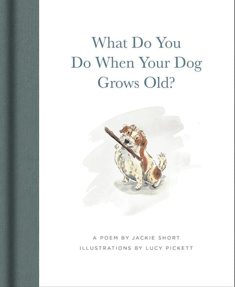 What Do You Do When Your Dog Gets Old?