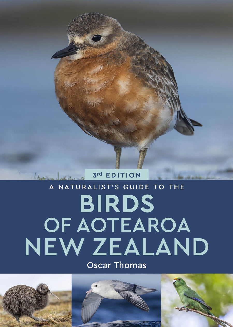 Naturalist's Guide To Birds Of Aotearoa New Zealand
