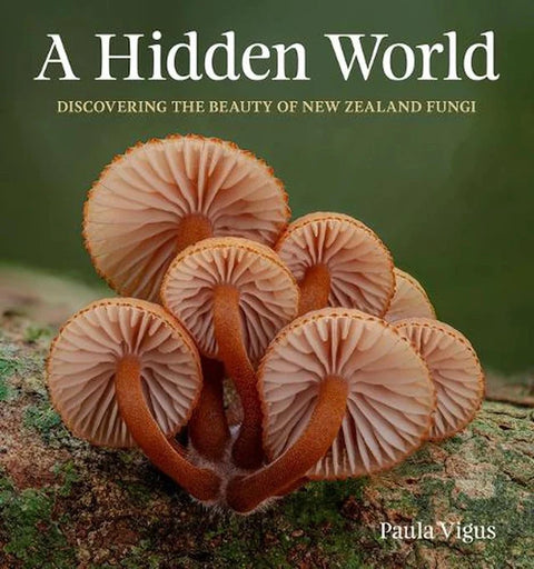 Hidden World, A