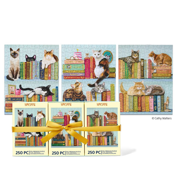 Cats on Books Set of 3