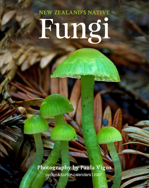 2027 NZ Native Fungi Calendar - Small