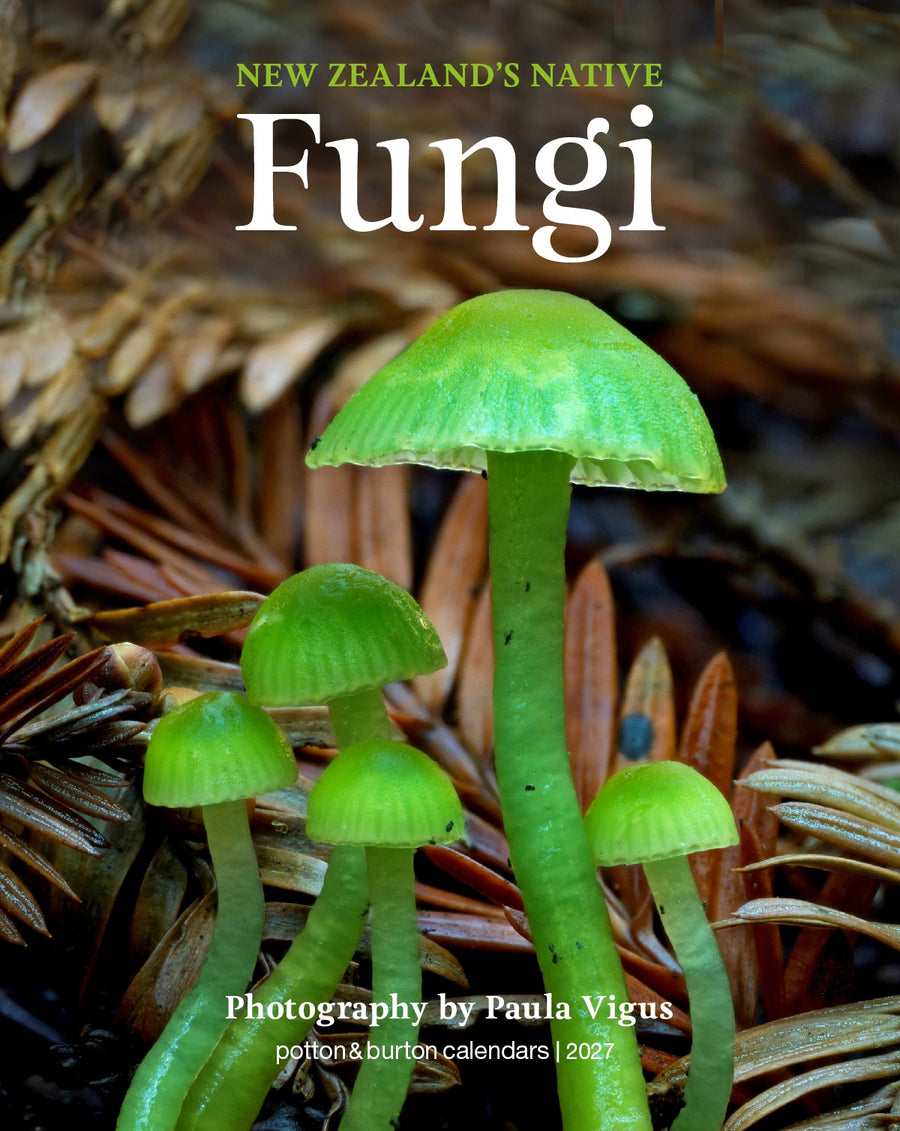 2027 NZ Native Fungi Calendar - Small