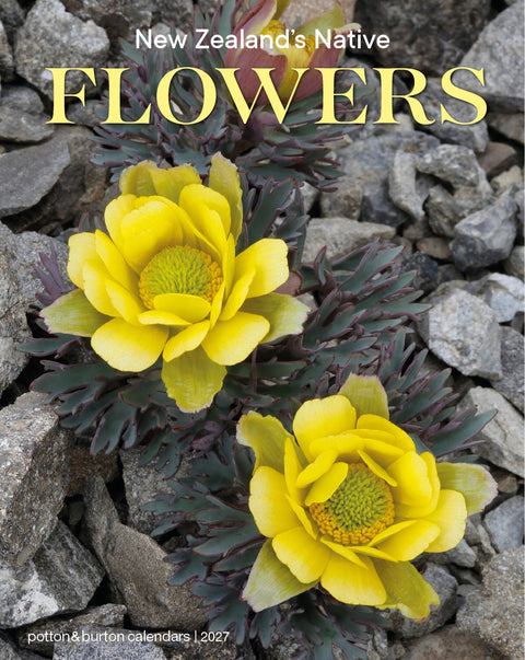 2027 NZ Native Flowers Calendar - Small