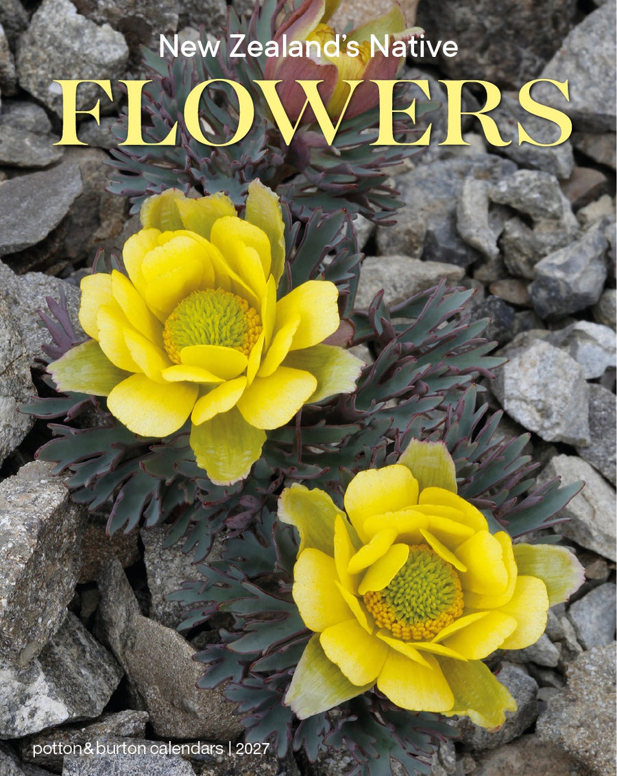 2027 NZ Native Flowers Calendar - Small