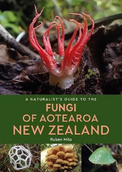 Naturalist's Guide To Fungi Of Aotearoa NZ