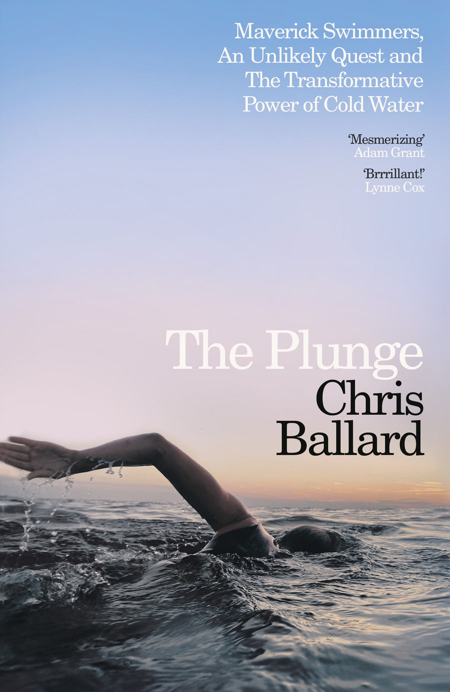 Plunge, The