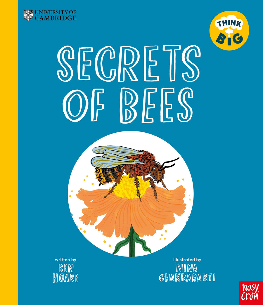Secrets of Bees
