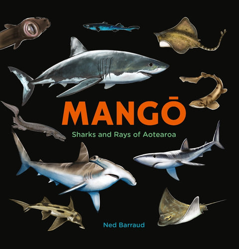 Mango - Sharks and Rays of Aotearoa