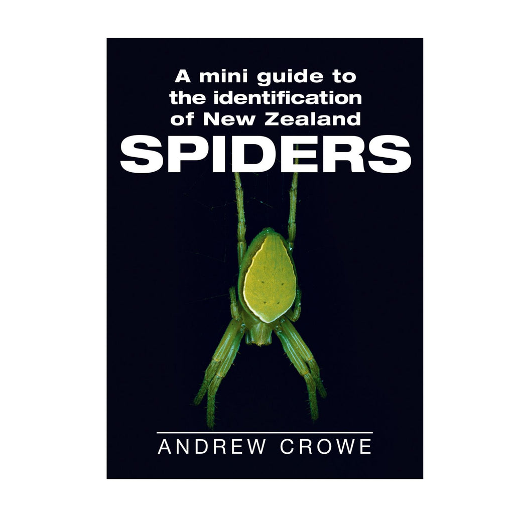 Mini Guide to Identification of New Zealand Spiders