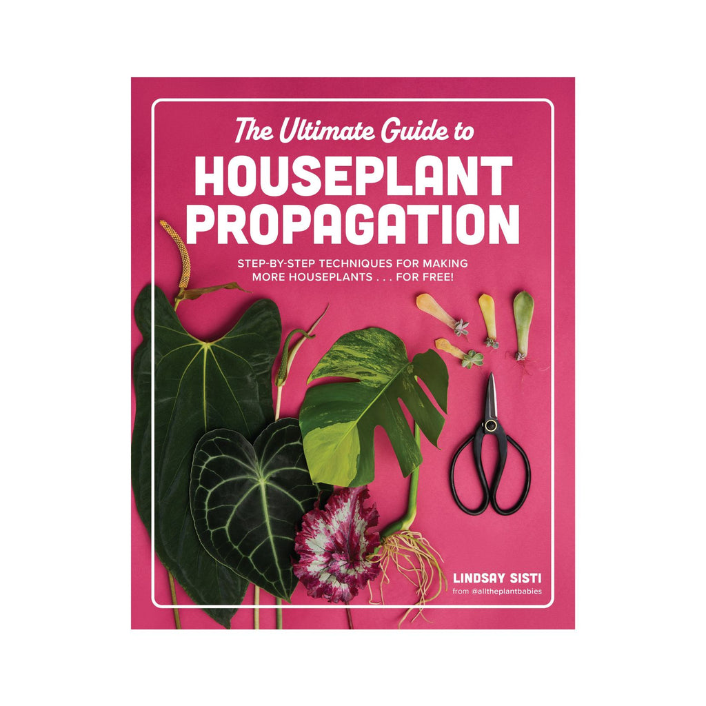 Houseplant Propagation