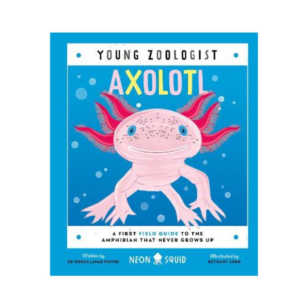 Axolotl, Young Zoologist