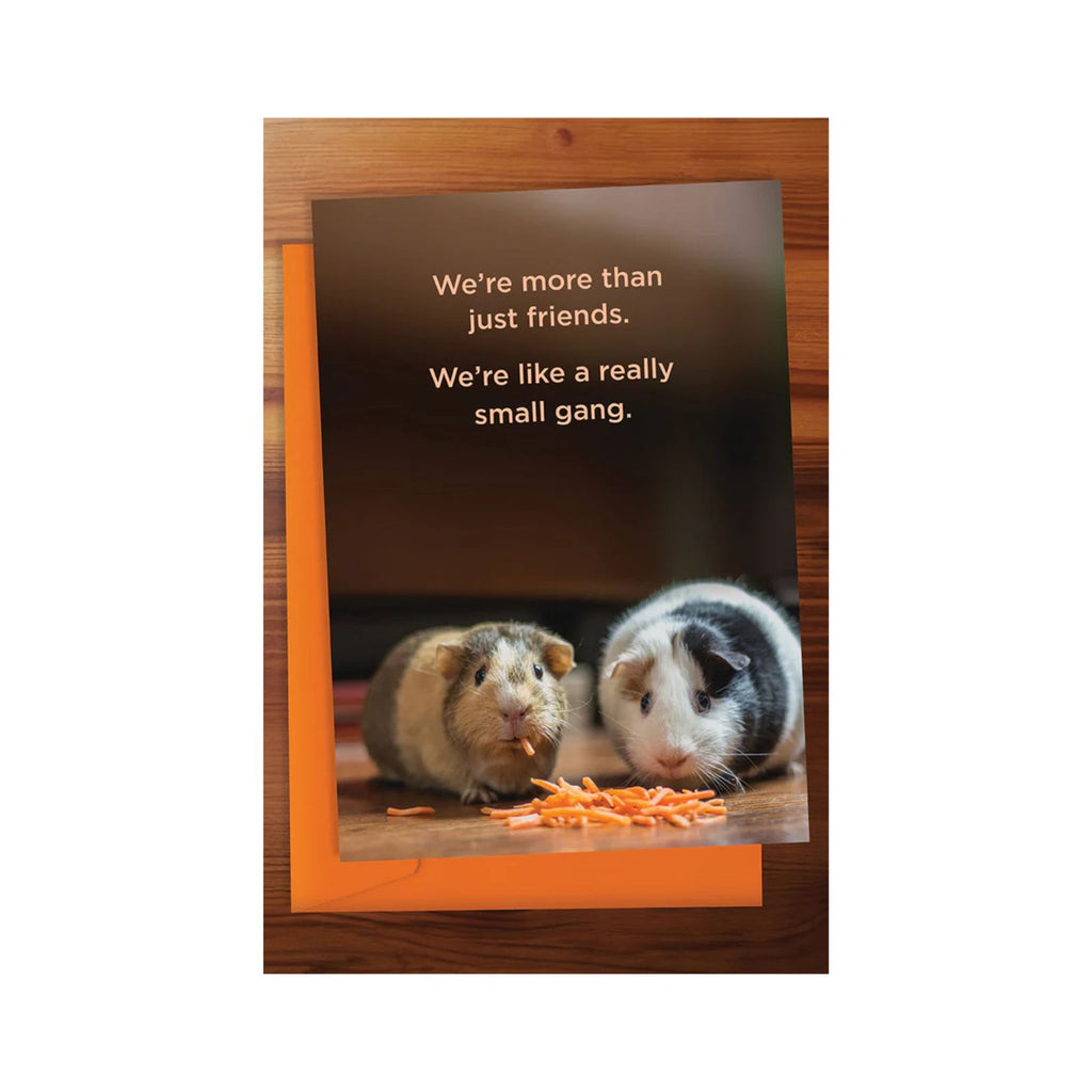 More than just friends Greeting Card