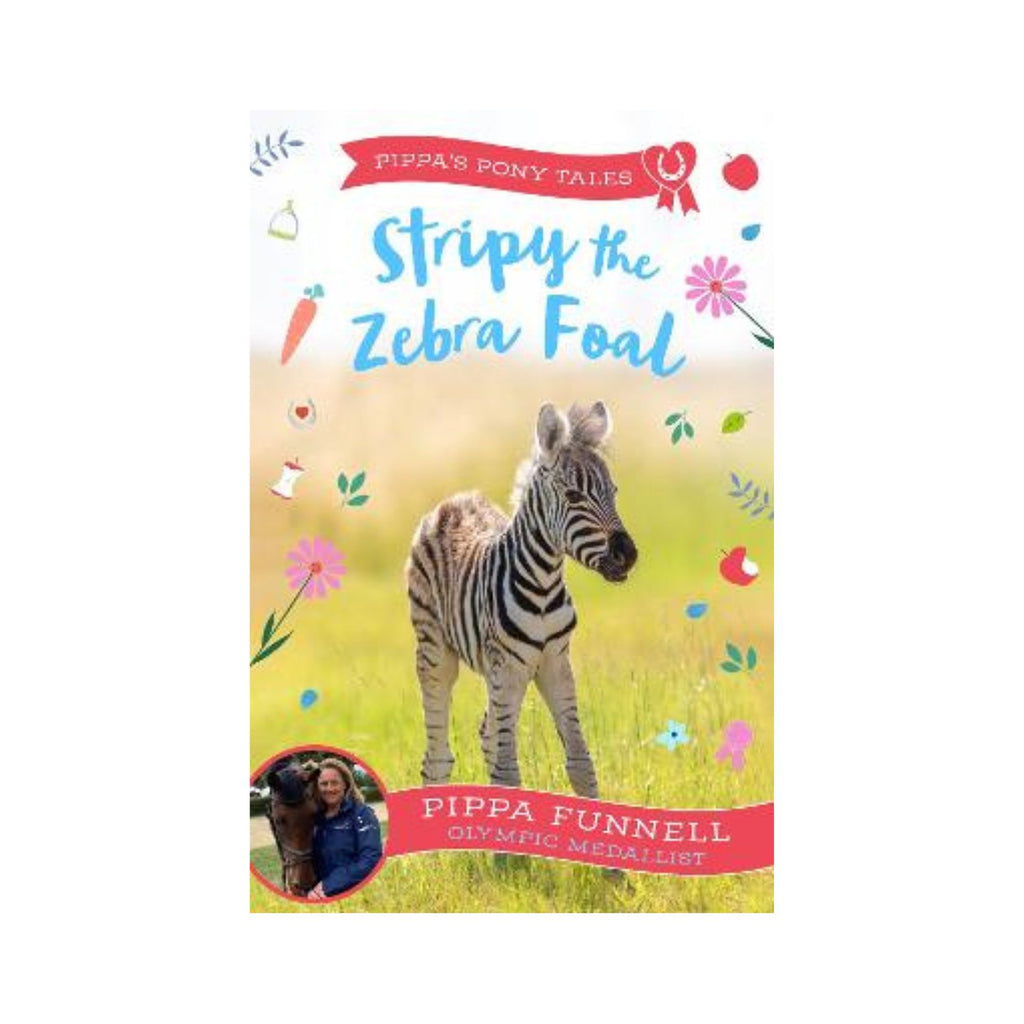 Stripy the Zebra Foal