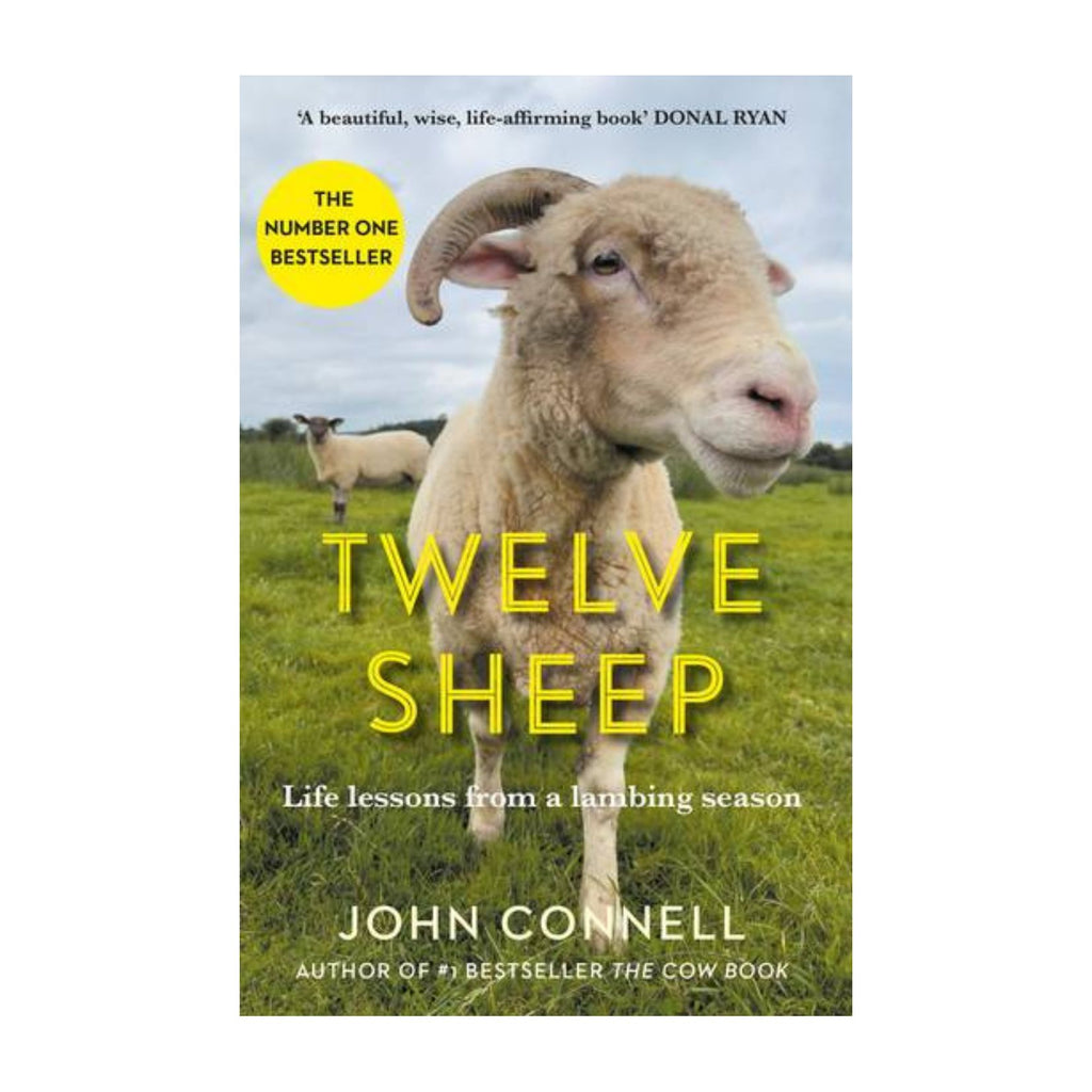 Twelve Sheep