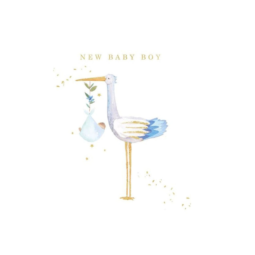 Baby Boy Stork Greeting Card