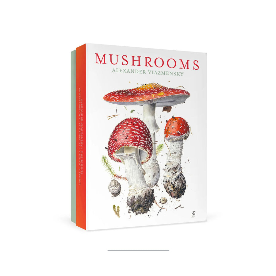 Mushrooms Boxed Note Set