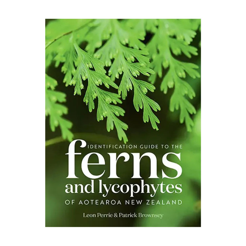 Identification Guide to Ferns and Lycophytes of Aotearoa