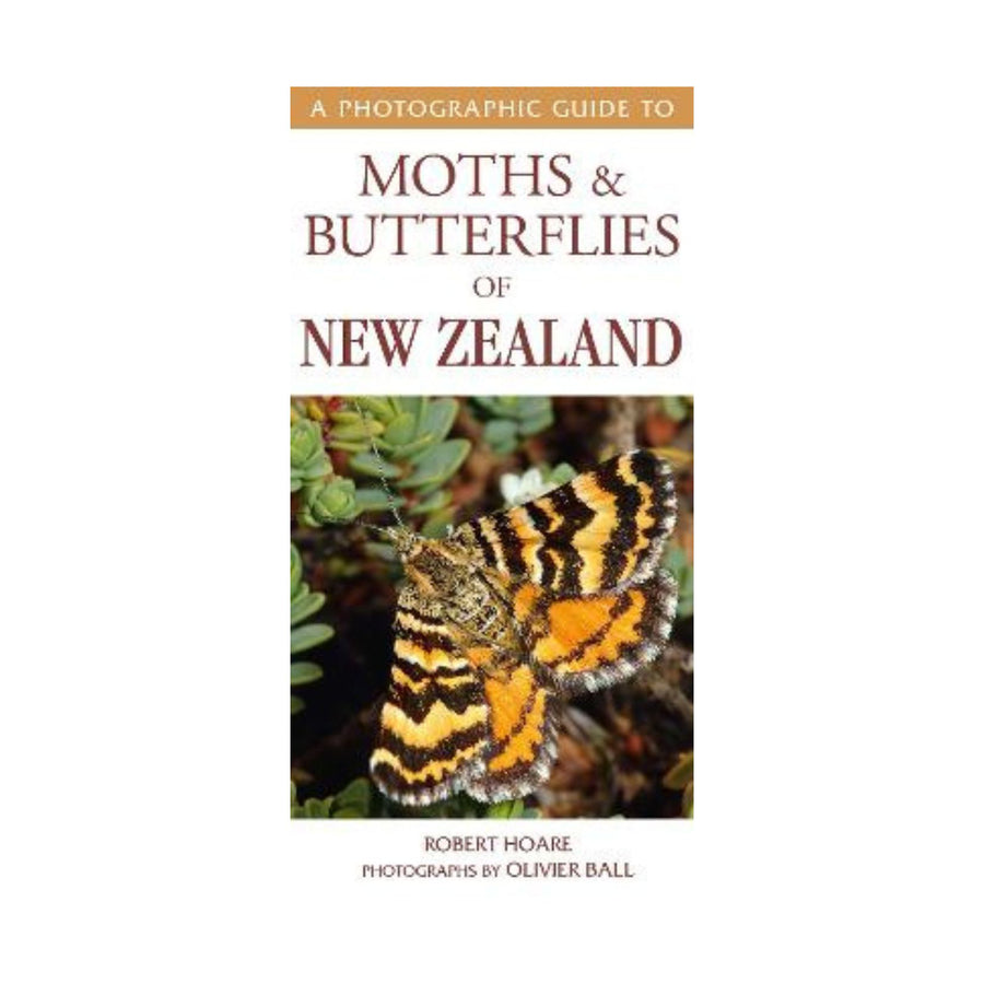 Photographic Guide to Moths & Butterflies of New Zealand
