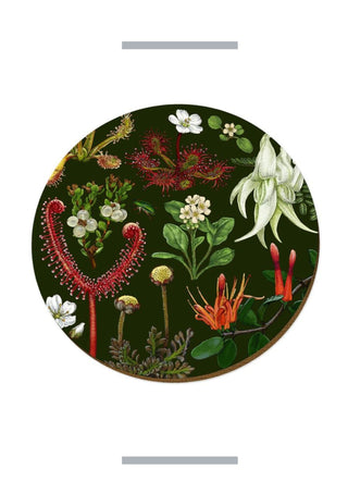 NZ Plants - Placemat