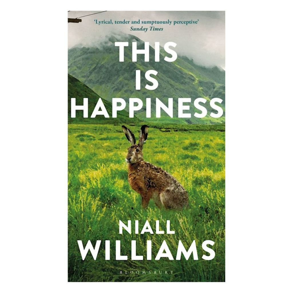 This is Happiness (B)