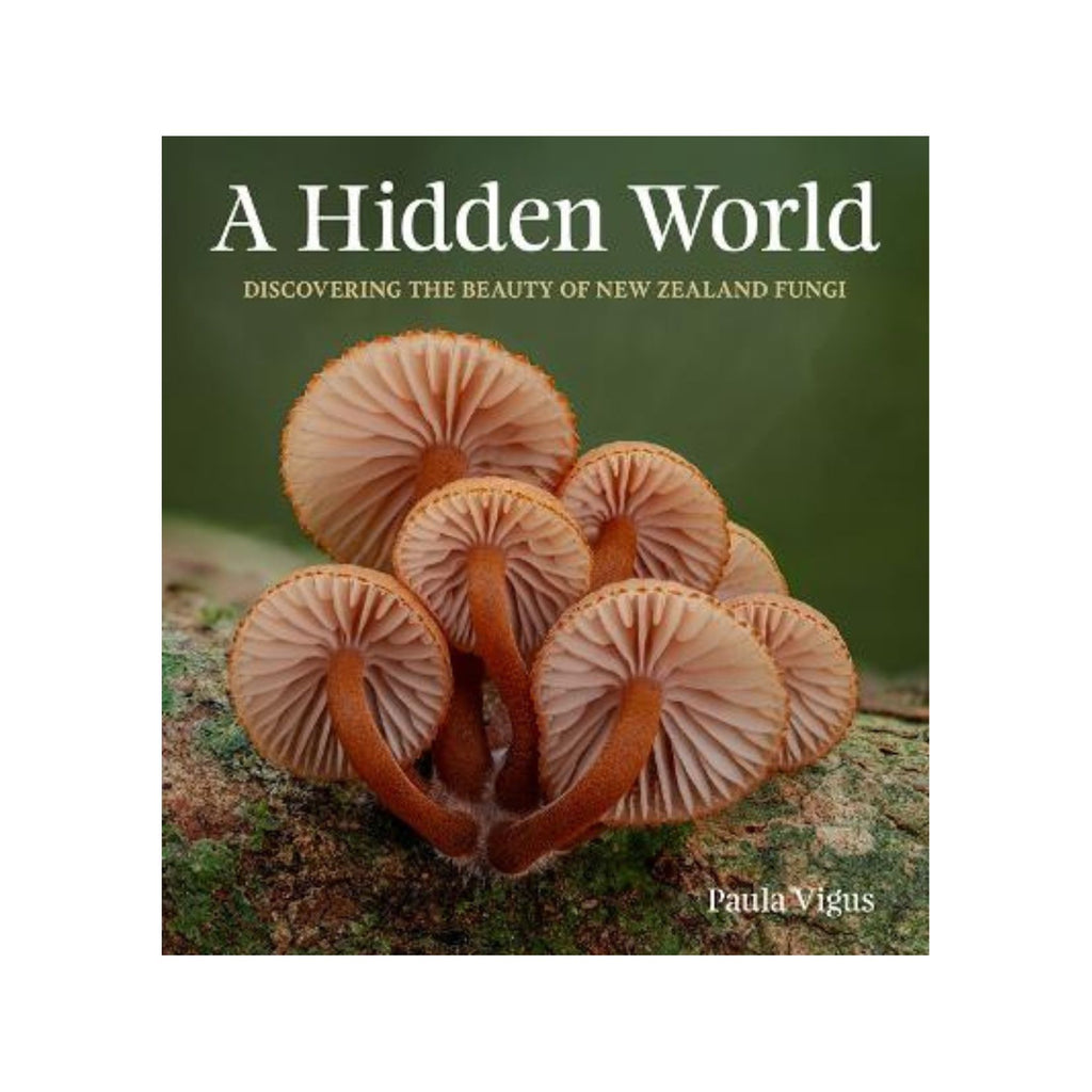 Hidden World, A