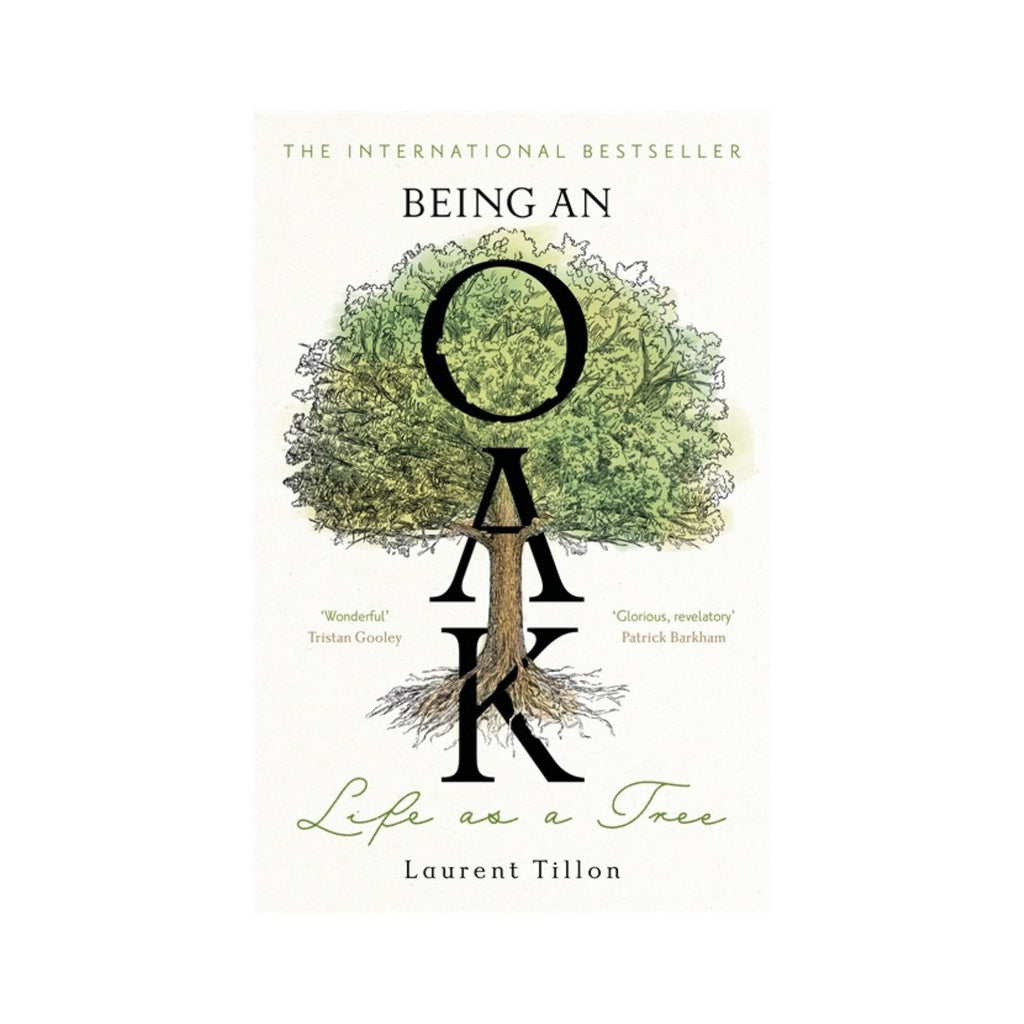 Being an Oak, Life as a Tree