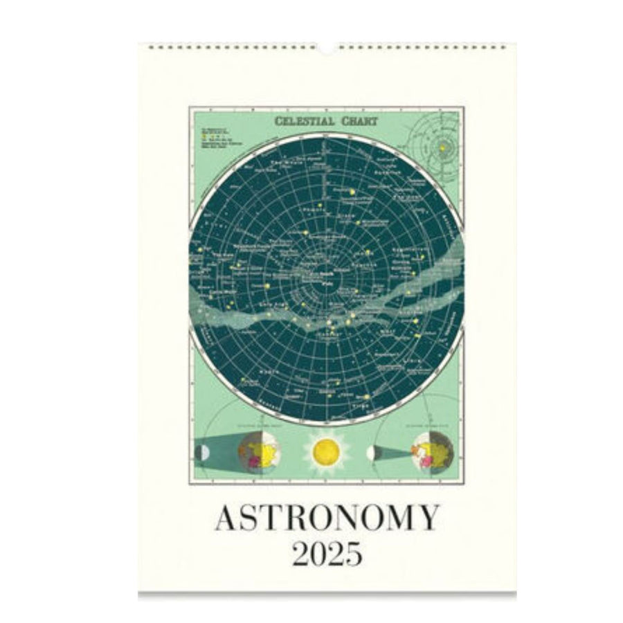Cavallini Astronomy 2025 Wall Calendar