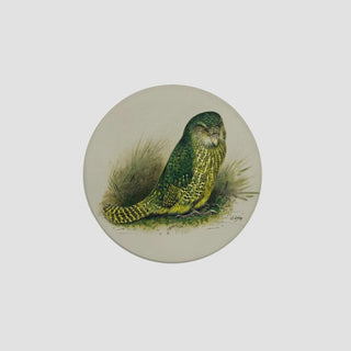 George Lodge Kakapo Ceramic Coaster