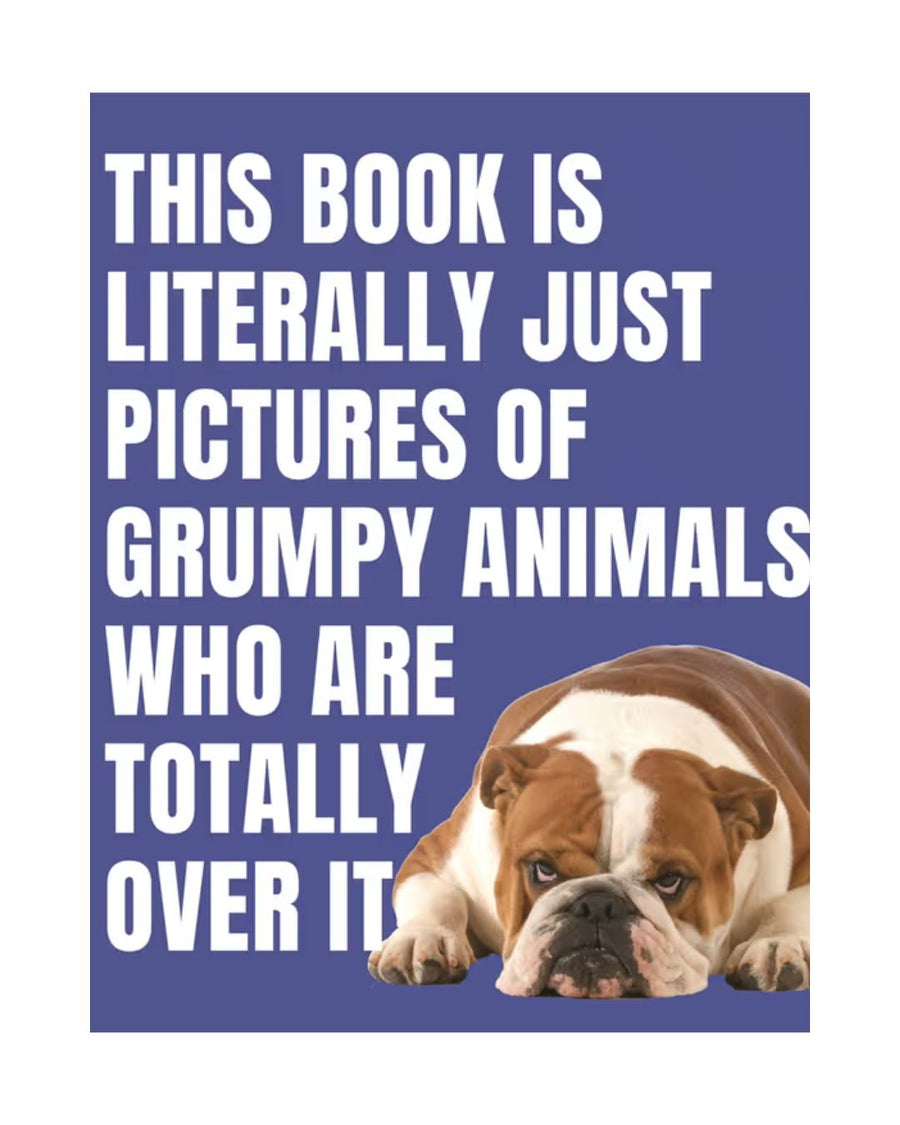 This Book is Literally Just Pictures