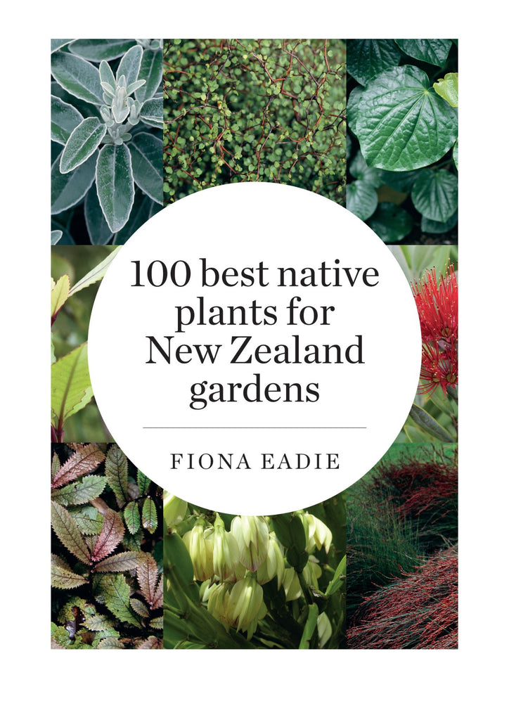 100 best native plants for NZ