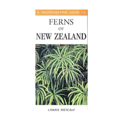 Ferns of New Zealand