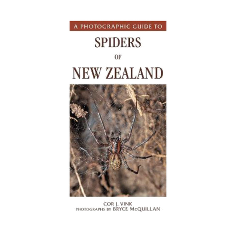 Photographic Guide to Spiders of New Zealand (23)