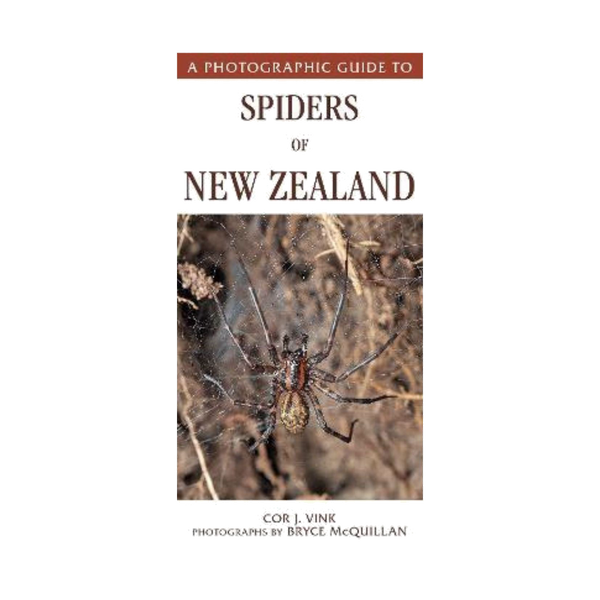Photographic Guide to Spiders of New Zealand (23)