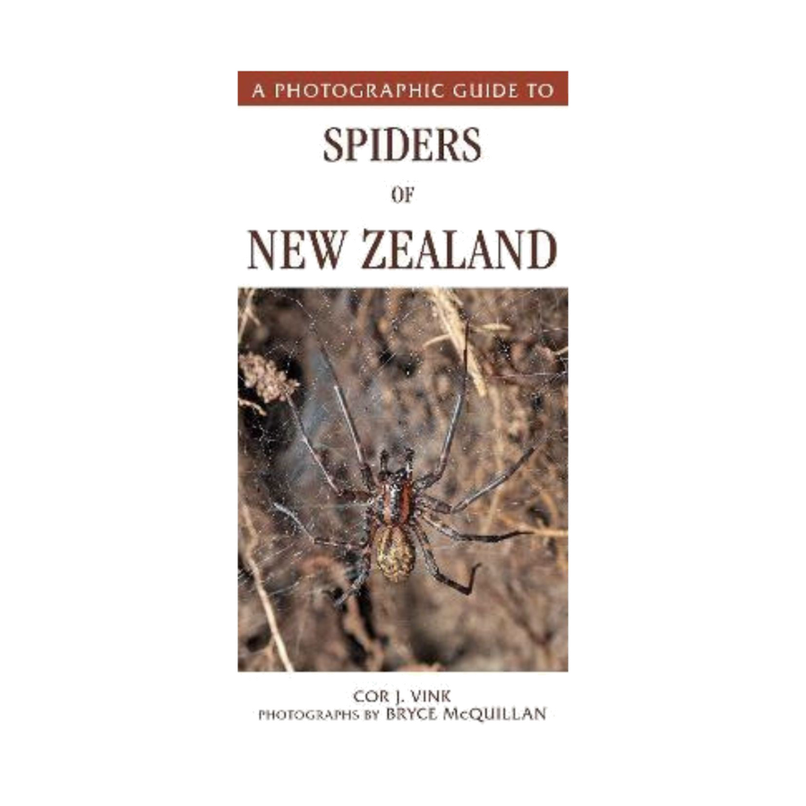 Photographic Guide to Spiders of New Zealand (23)