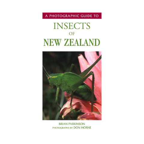 Photographic Guide to Insects of New Zealand, A