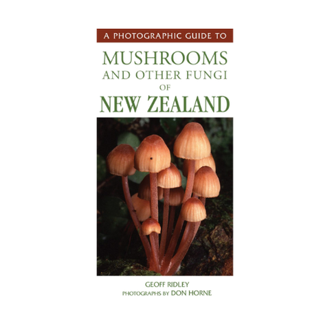Photographic Guide to Mushrooms