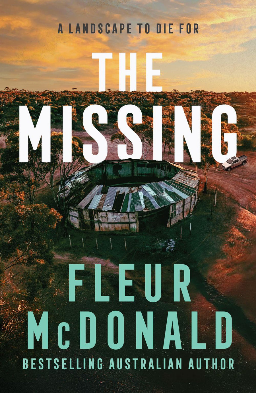 Missing, The (B)