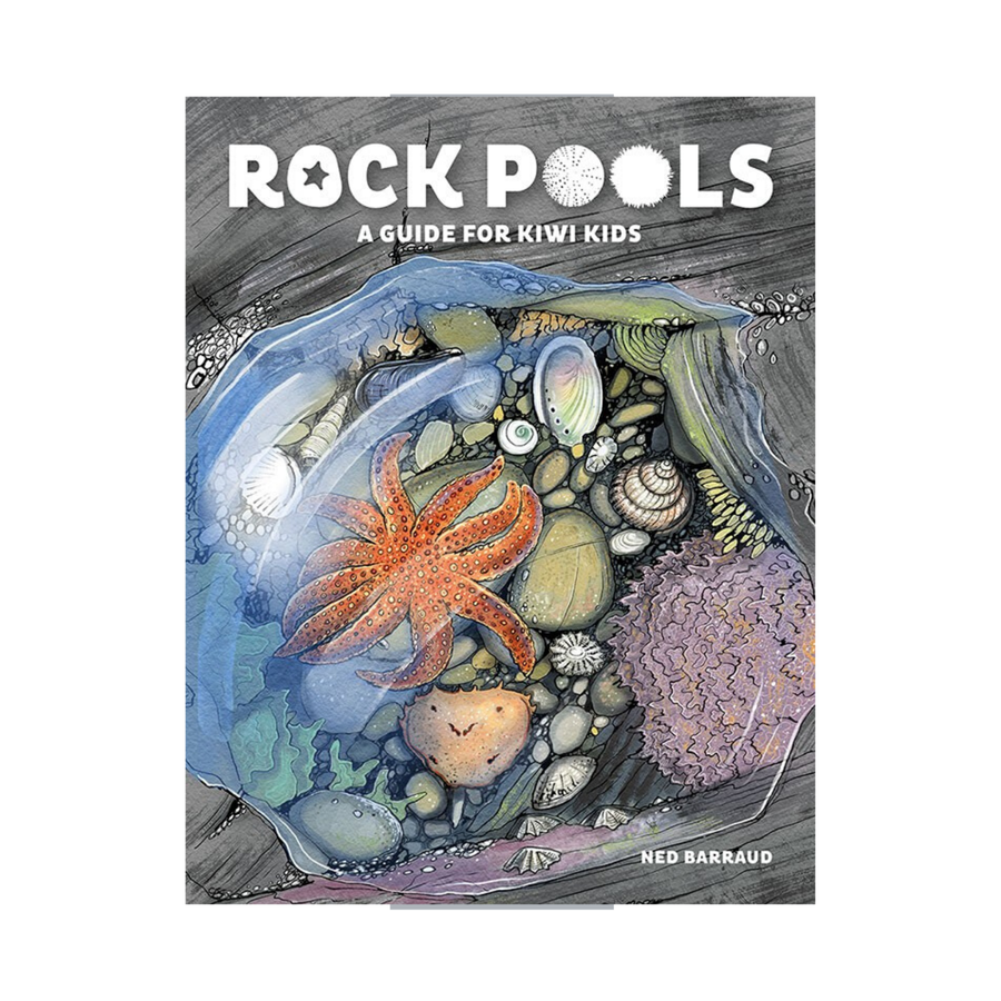 Rock Pools
