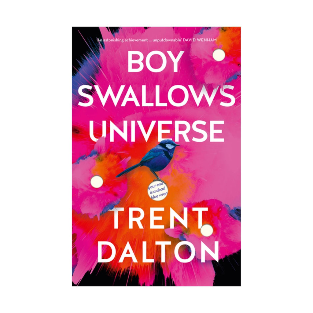 Boy Swallows Universe