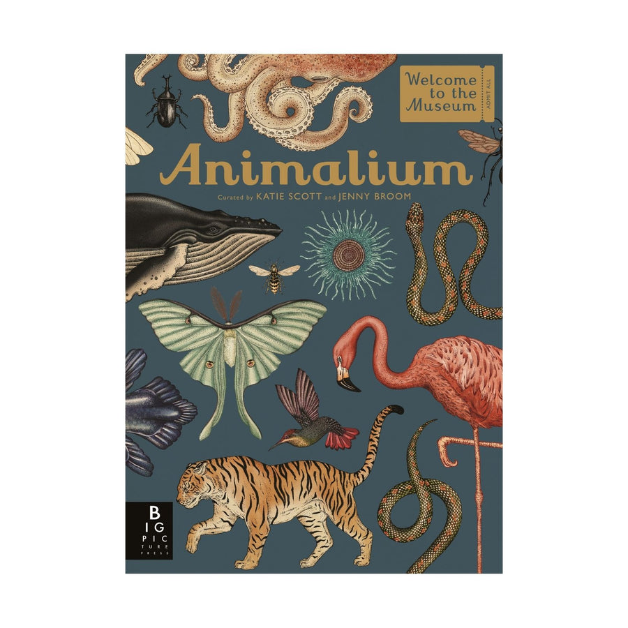 Animalium