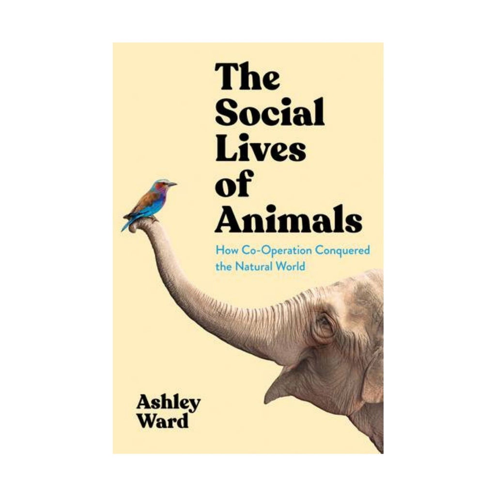 Social Lives Of Animals, The