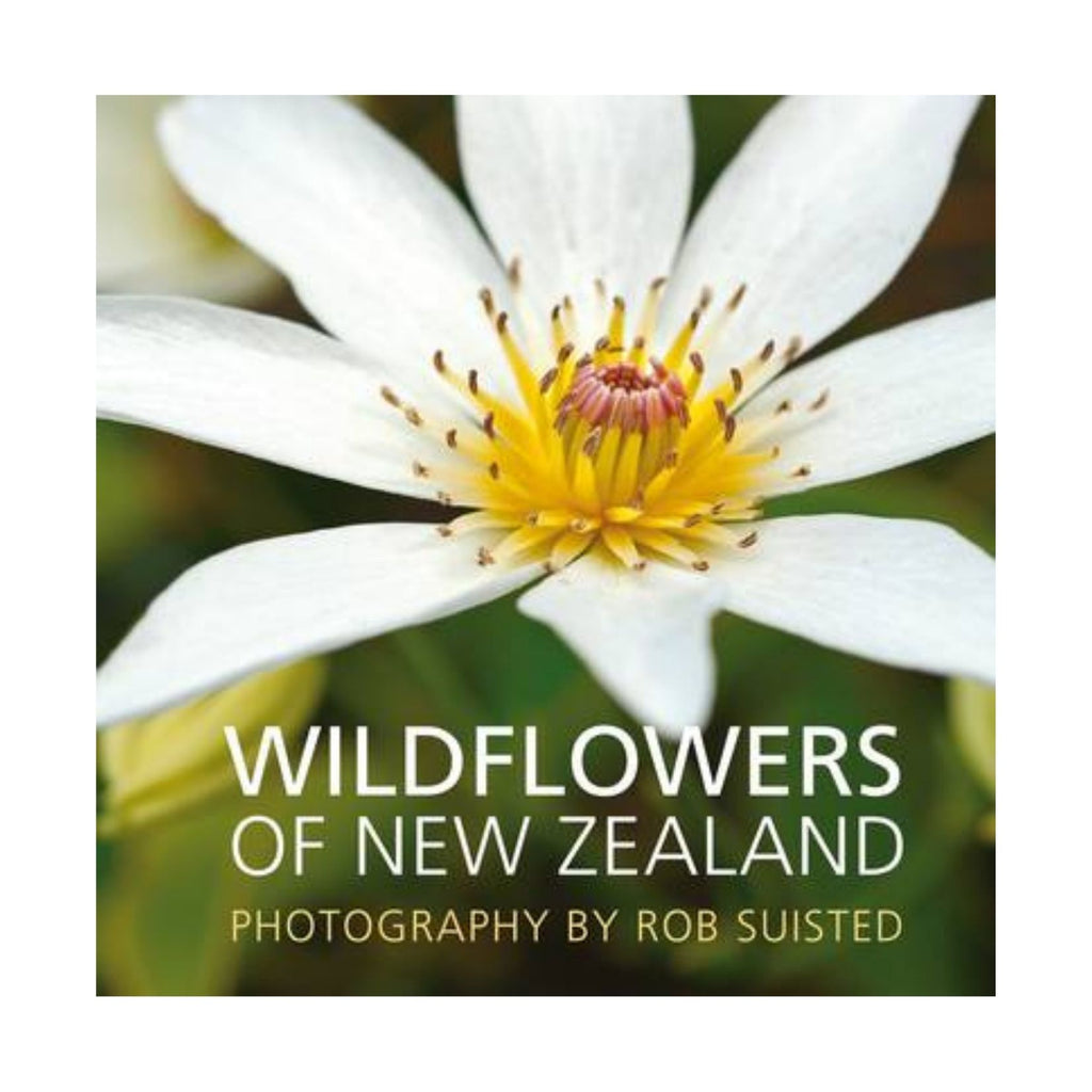 Wildflowers of New Zealand