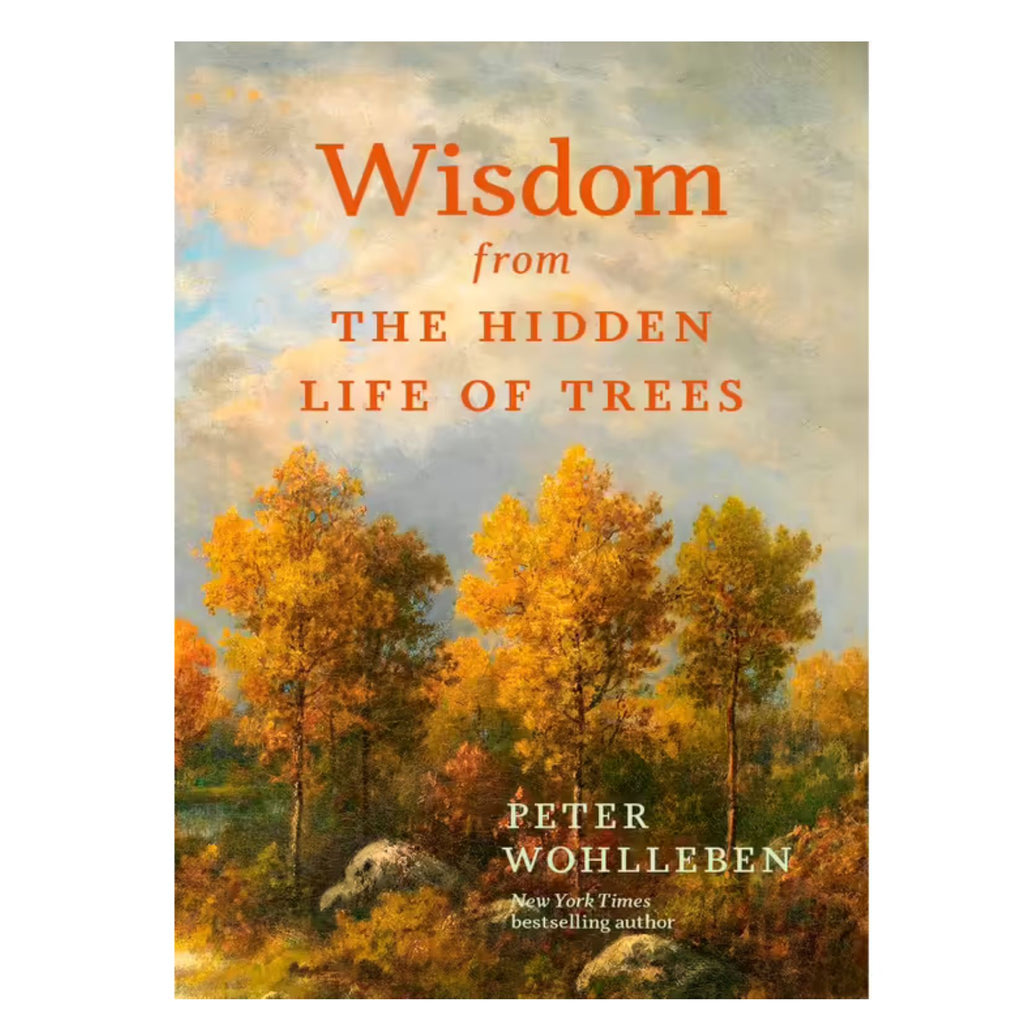 Wisdom for the Hidden Life of Trees