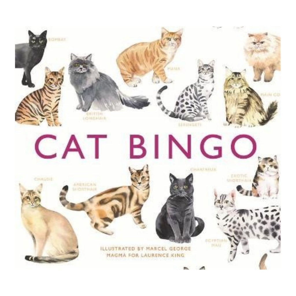 Cat Bingo